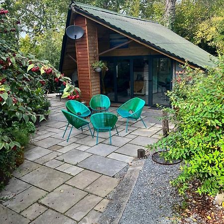 The Shed . A Cosy, Peaceful, 96% Recycled, Chalet. Swansea Kültér fotó